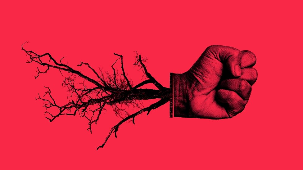 The Rise of the Extreme Right in Europe